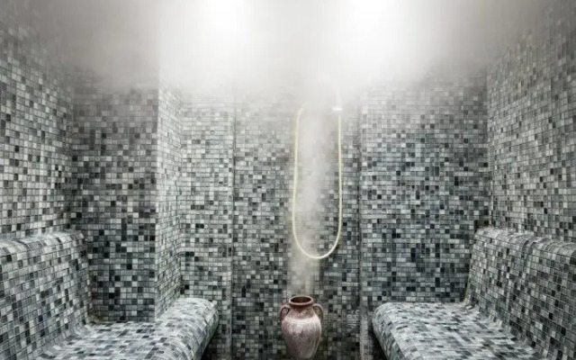 Istanbul Medikal Termal Hotel