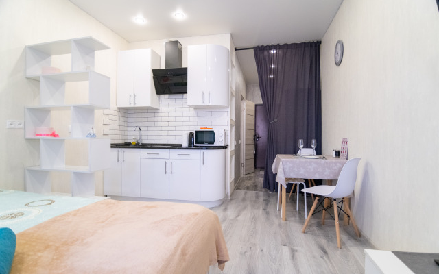 Stylish Studio in Novostroe Apartments
