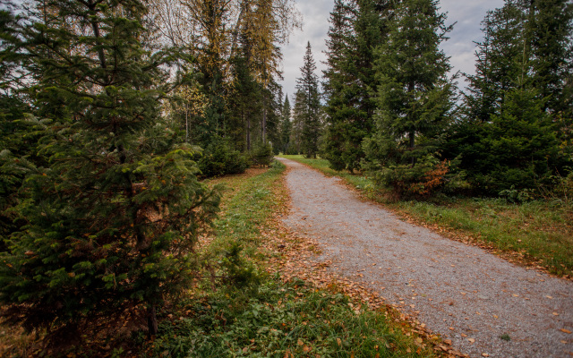 База отдыха Озерки