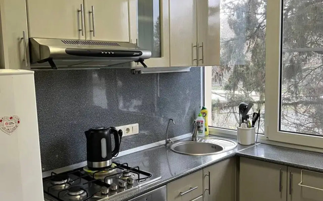 Na Chaykovskogo 6 Flat