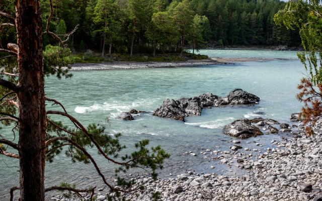 Гостевой дом АЛТАЙ БЕРЕГ ИП Рожнова Л.В.