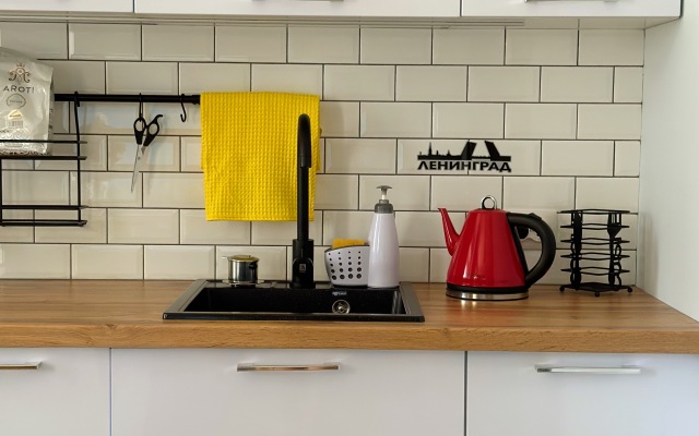 Апартаменты Метро Ладожская