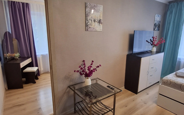 Квартира Уютная в центре около зоопарка