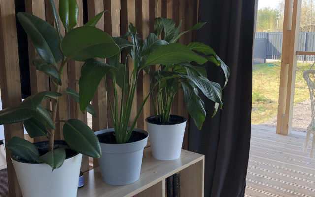 Частный Дом Дача 1.0