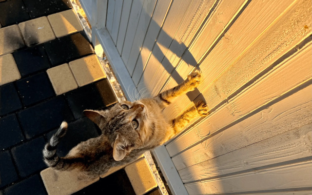 Отель 12 причал