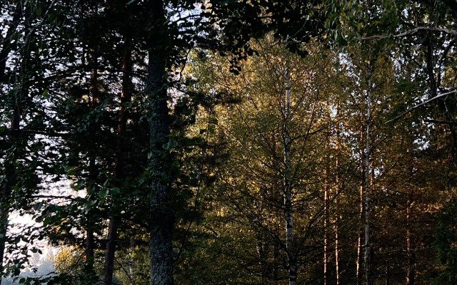 Eko-derevnya Sivcevo