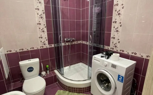 Studiya Na Lermontova 31 Flat