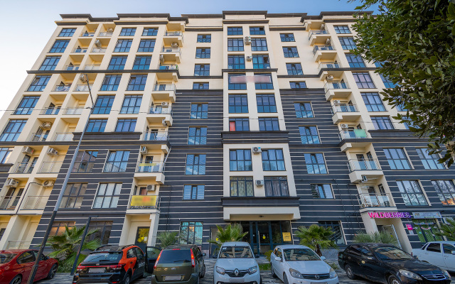 Studiya Iskry 62 Flat