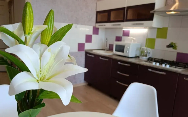1-Komnatnaya Na Ulitse 1-Ya Perevoznaya Flat