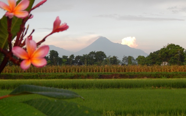 Alamanda Villas Butik-Hotel – Outside – Yogyakarta
