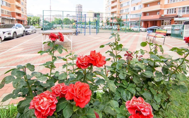 Квартира Птичка Певчая