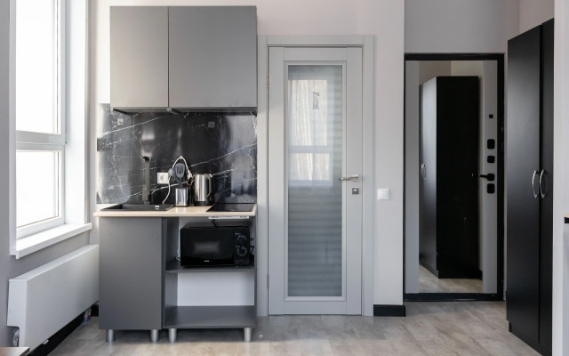 Studiya Na P. Romanova Apartments
