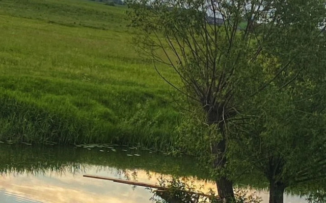 Частный дом у реки Камeнкa