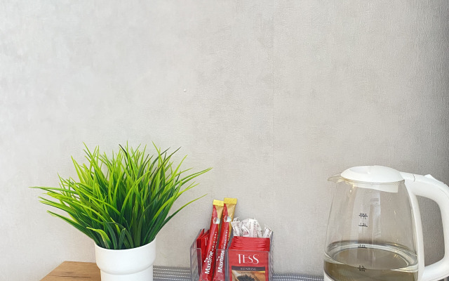 Апартаменты Созвездие Камчатки на Карла Маркса 11