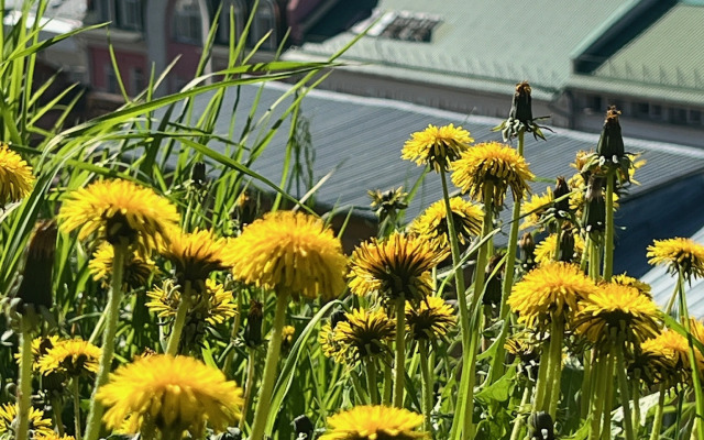 Апартаменты Дом у Реки loft Усадьба на Черниговской