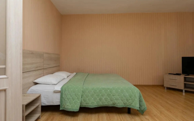 3-к апартаменты Этажидейли на ВИЗе