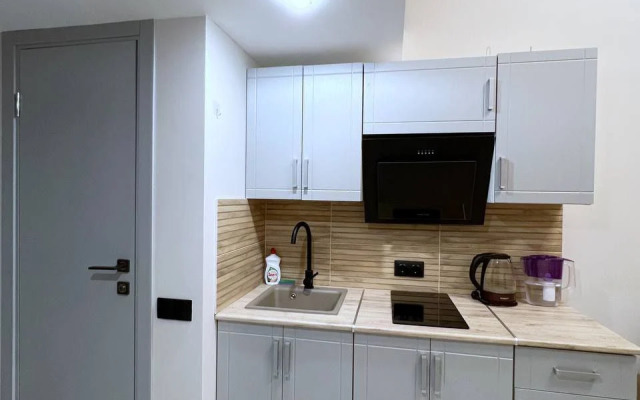 Двухуровневые апартаменты Purple Aurora у метро Бауманская