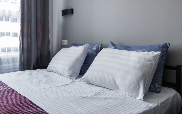 Studiya Na P. Romanova Apartments