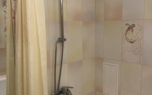 V Tsentralnom Rayone Flat