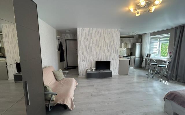 Апартаменты на Ленинском проспекте