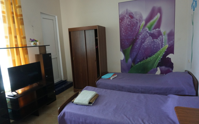 Zelenye Fonariki Guest House