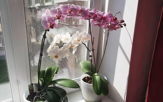 Квартира с удивительным видом на город