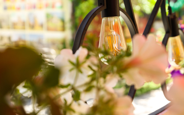 U Ashota Guest house