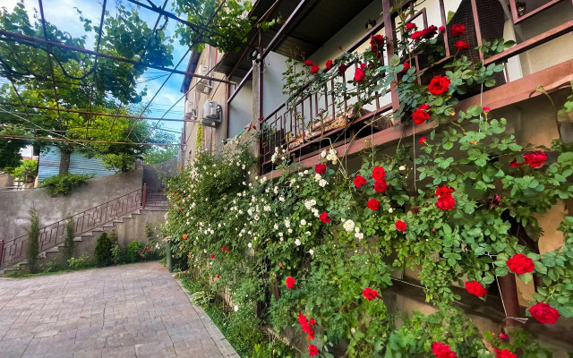 Hillside Guest house