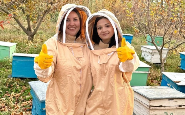 Гостевой дом Bee Planet
