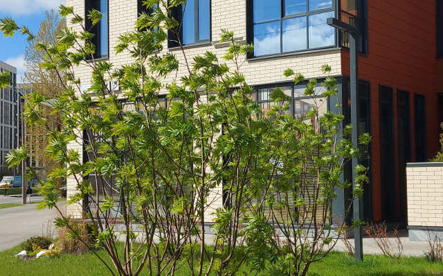 Квартира Апартаменты Green Voyage