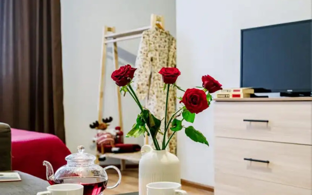 Апартаменты Двухкомнатные Apart Seasons Белинского 177/3