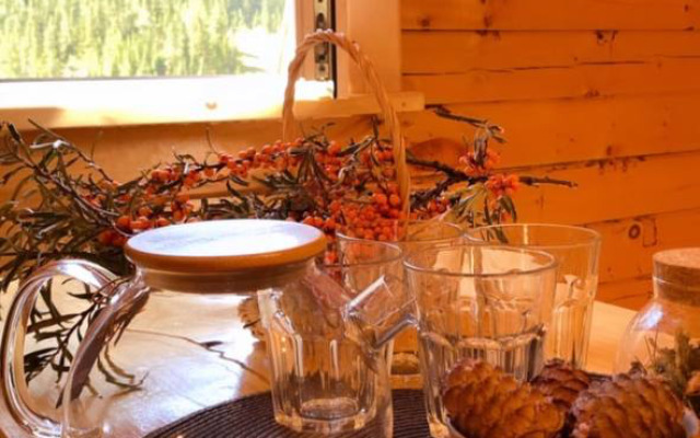 База отдыха Altai Geyser Lake