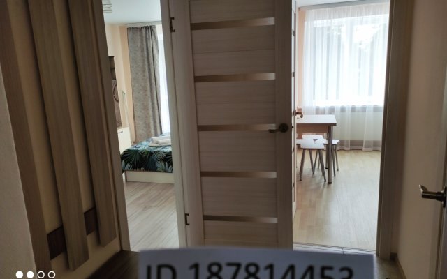 1-room Apartments on Lva Tolstogo 58