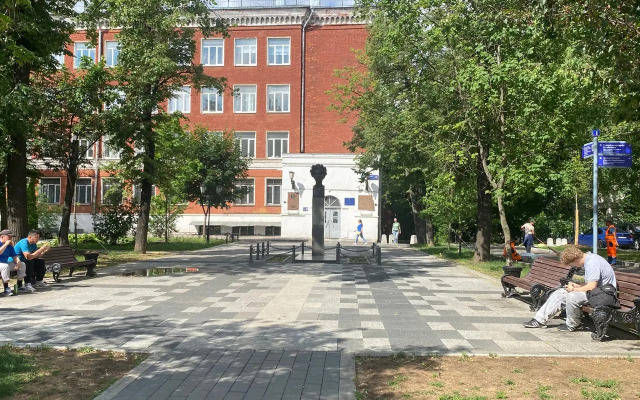 Svoy Lux Flat