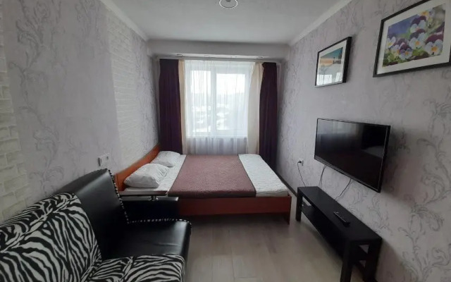 Квартира двухкомнатная с красивым видом и балконом в Октябрьском районе