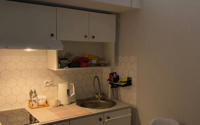 Квартира эстетичная и уютная двухуровневая студия