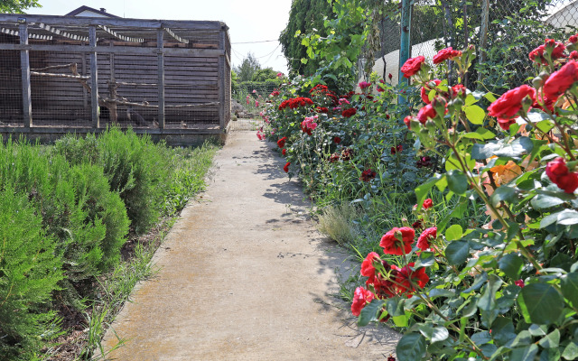 Гостевой дом Парк-отель Казантип Центр