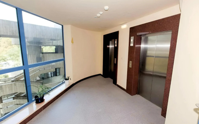 Premium Klassa ZhK Novaya Aleksandriya Flat