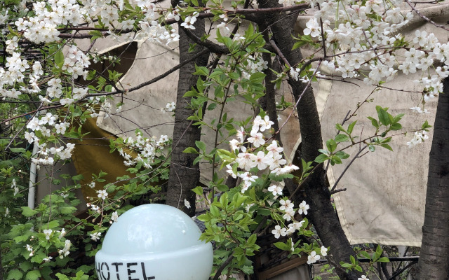 Dom Polski Guest House