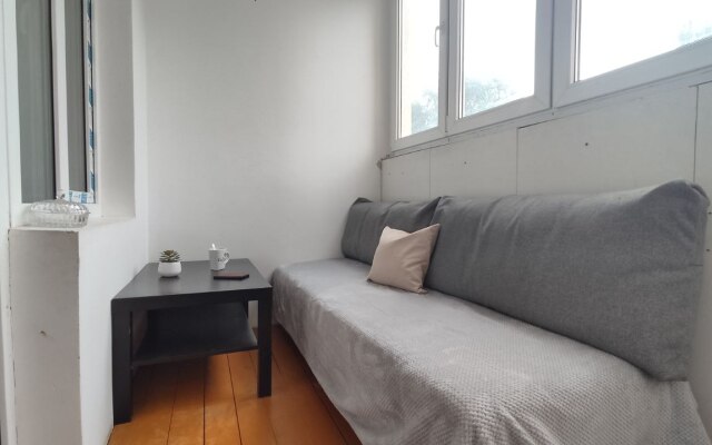 Satin Apartments Na Ul. Chapaeva 30 Flat