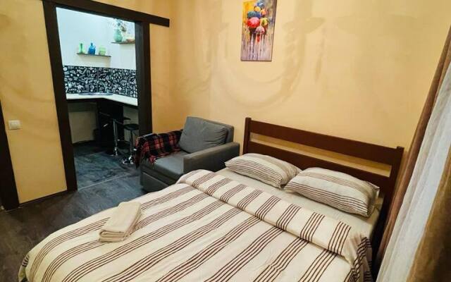 Odnokomnatnaya Kvartira V Tsentre Na Nikitinskaya 108 Apartments