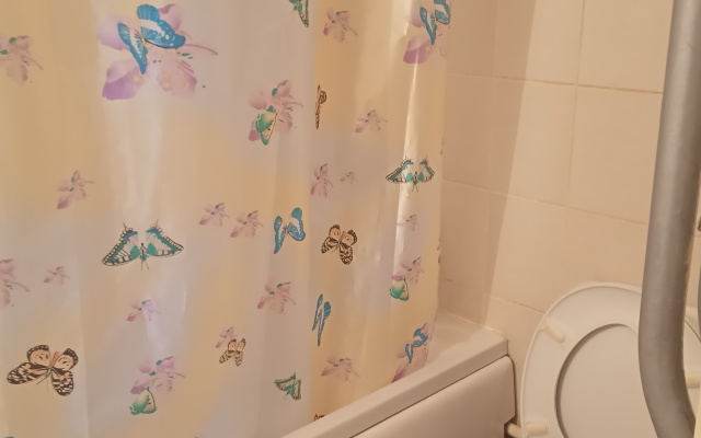 Ilne Na Arkticheskoy 18