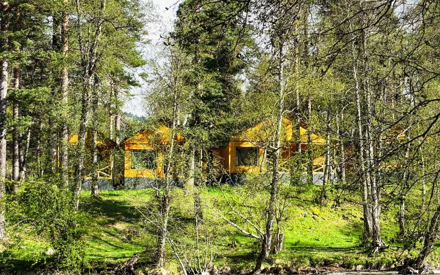 Khvoya trexkomnatnyi lyks Shalet
