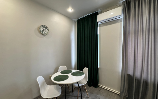 Studiya v tsentre goroda Flat
