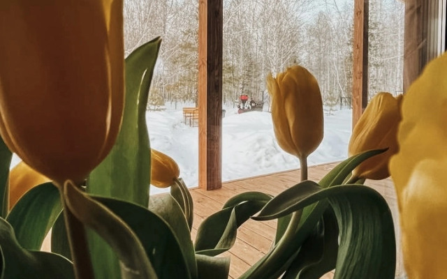 Zagorodny Dom V Okruzhenii Lesa Private house