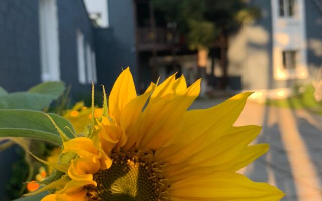 Мини-отель Подснежник