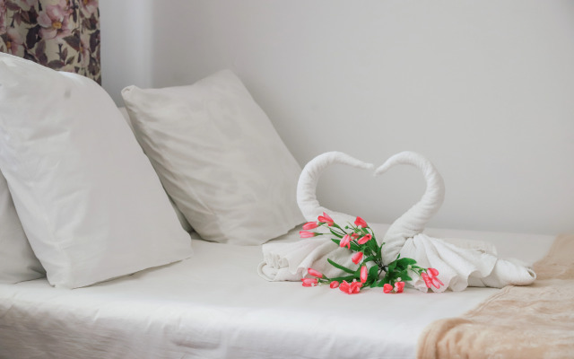 MAXROOMS у Плеса