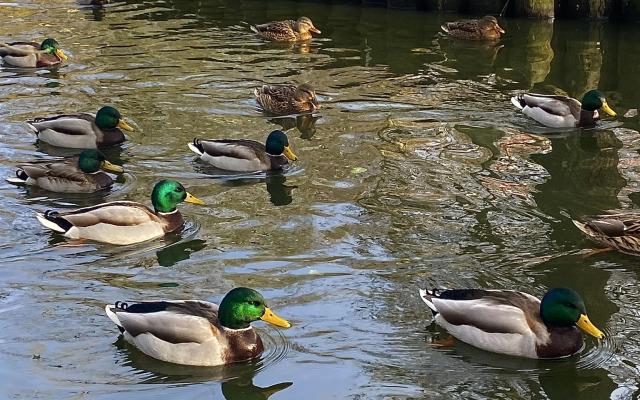 Квартира на Лермонтова