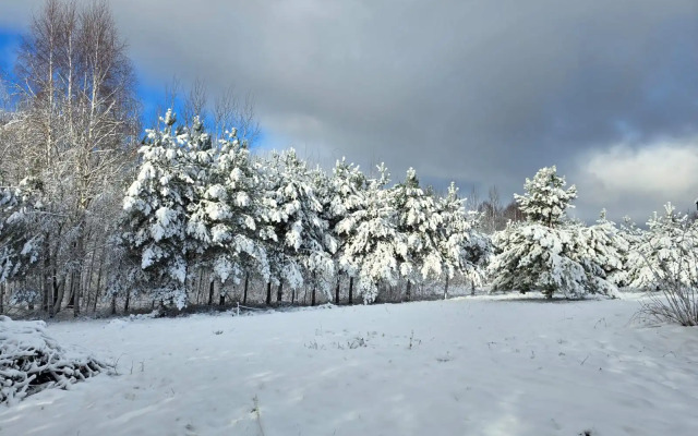 Частный дом Уница 120кв.м на первой линии озера Селигере
