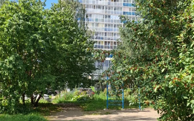 Апартаменты Просторные с видом на парк